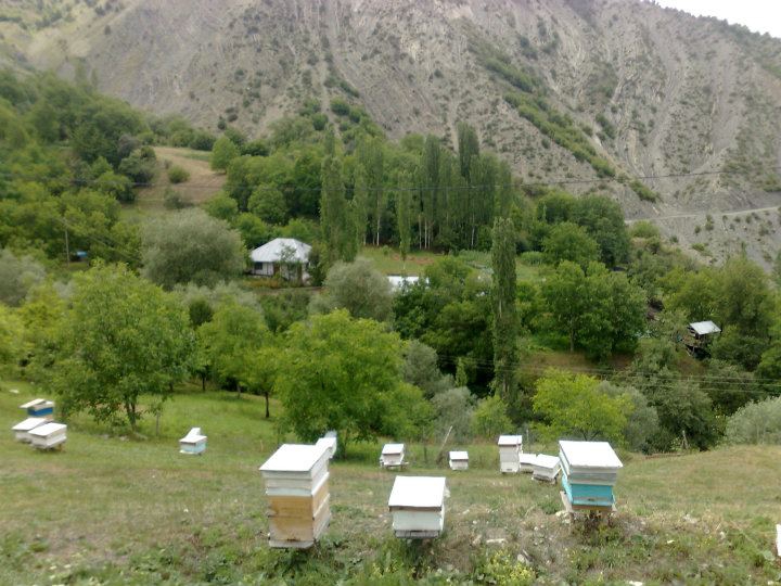 Oltu Çanakpınar Köyü Resimleri 7