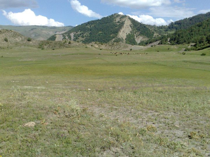 Oltu Çanakpınar Köyü Resimleri 8