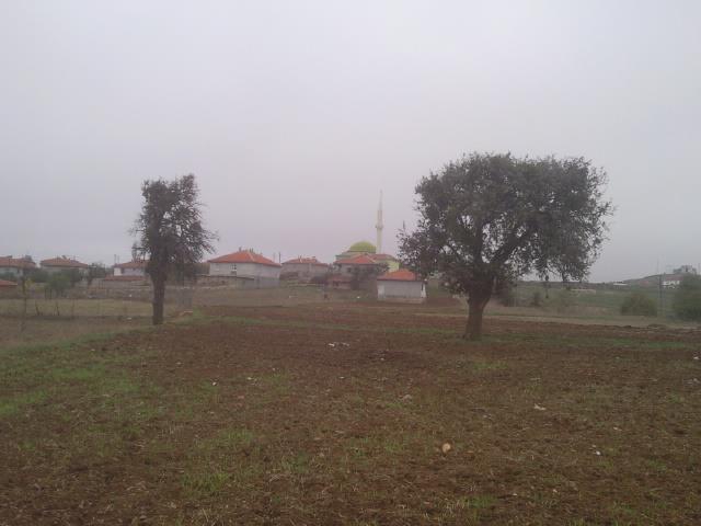 Amasya Göynücek Alanköy Resimleri 15