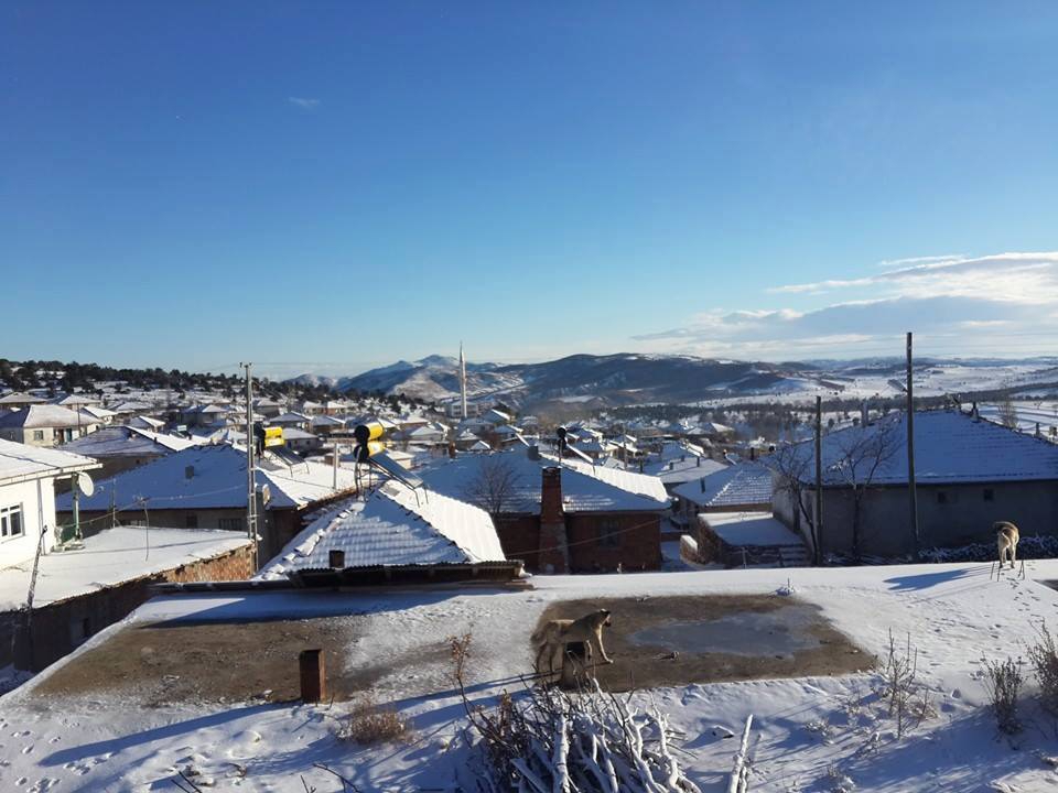 Amasya Göynücek Alanköy Resimleri 17