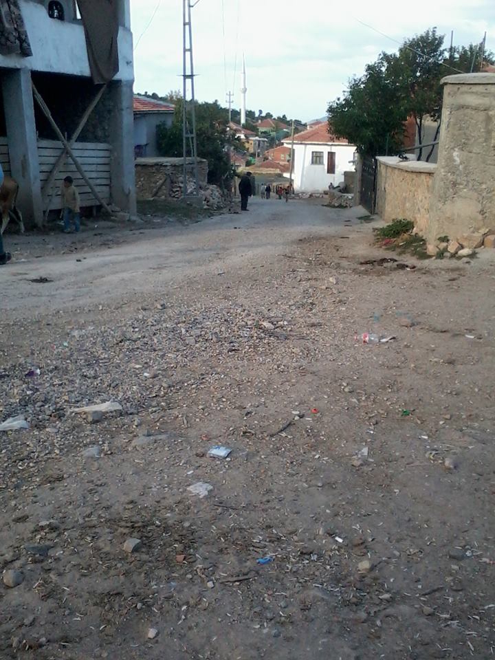 Amasya Göynücek Alanköy Resimleri 44