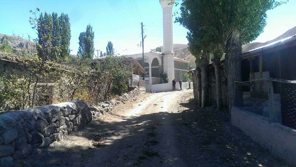 Oltu Çatalsöğüt Köyü Resimleri 1