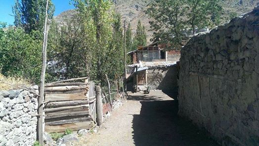 Oltu Çatalsöğüt Köyü Resimleri 10