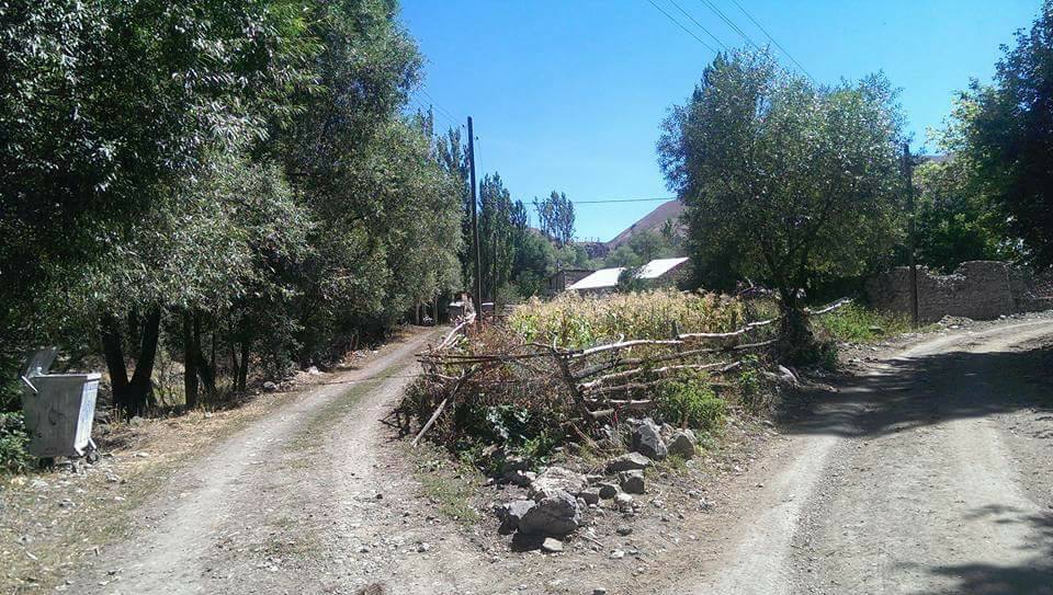 Oltu Çatalsöğüt Köyü Resimleri 3