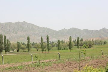 Oltu Çatalsöğüt Köyü Resimleri 8