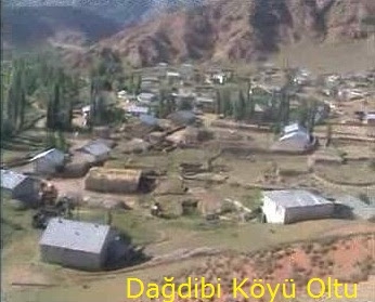 Oltu Dağdibi Köyü Resimleri 1