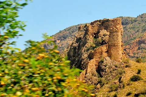 Oltu Dağdibi Köyü Resimleri 5