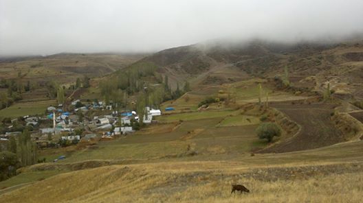 Oltu Damarlıtaş Köyü Resimleri 2