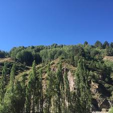 Oltu Dokuzdeğirmen Köyü Resimleri 4