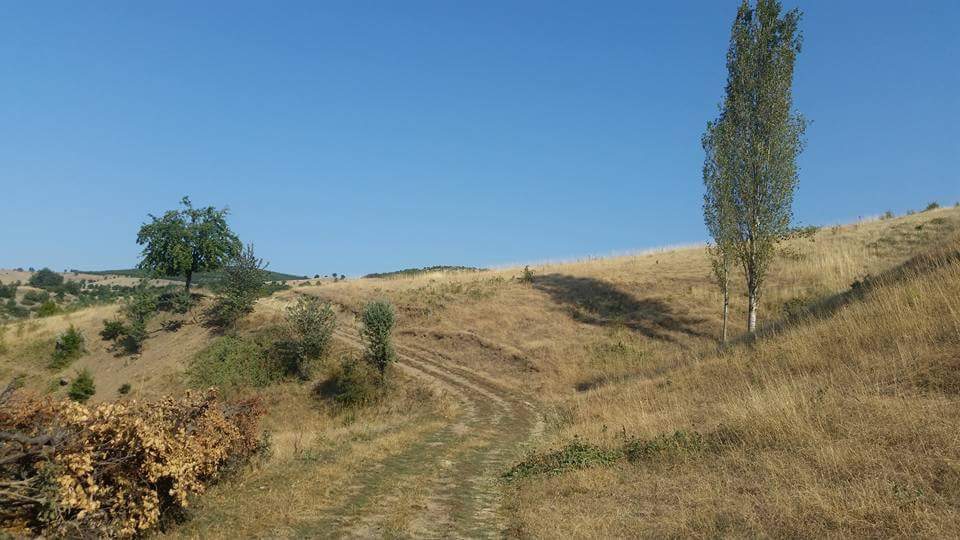 Amasya Göynücek Ardıçpınar Köyü Resimleri 1