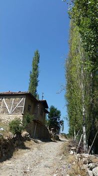 Amasya Göynücek Ardıçpınar Köyü Resimleri 3