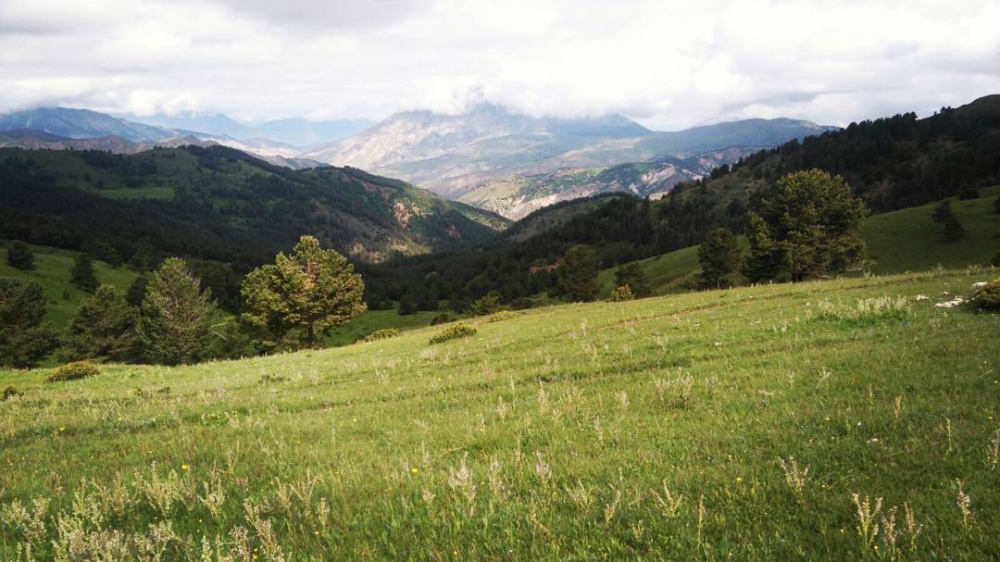 Oltu Erdoğmuş Köyü Resimleri 2