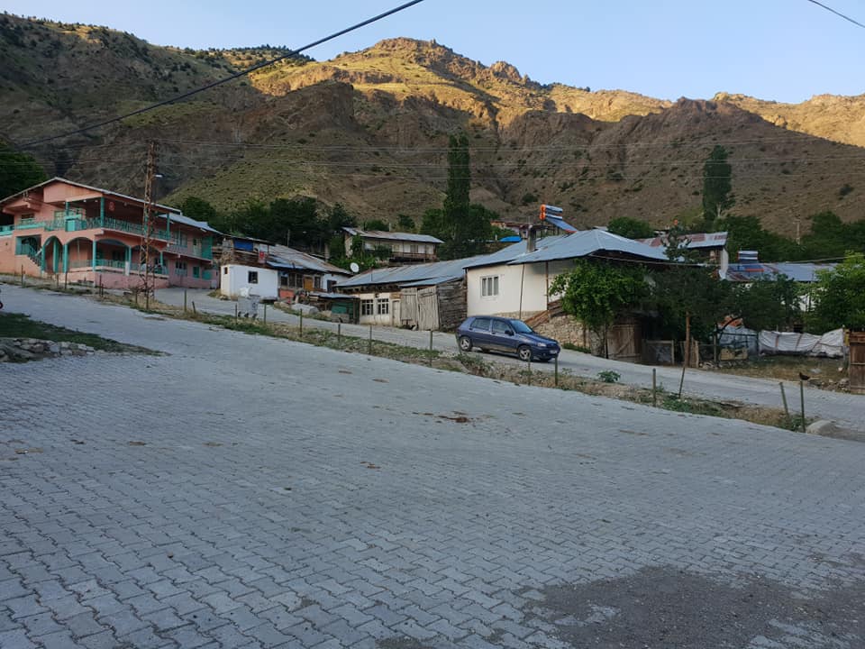 Oltu Günlüce Köyü Resimleri 1