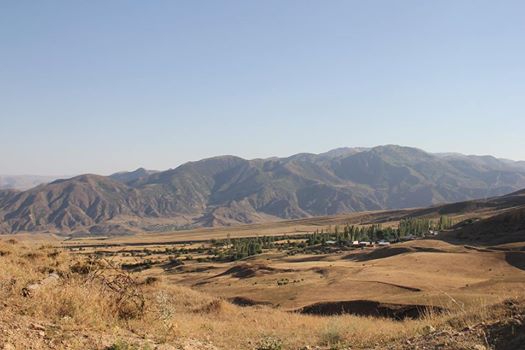 Oltu Günlüce Köyü Resimleri 2