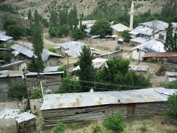 Oltu Günlüce Köyü Resimleri 3