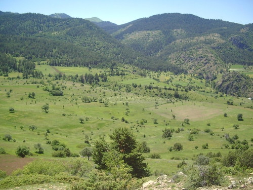 Oltu Günlüce Köyü Resimleri 4