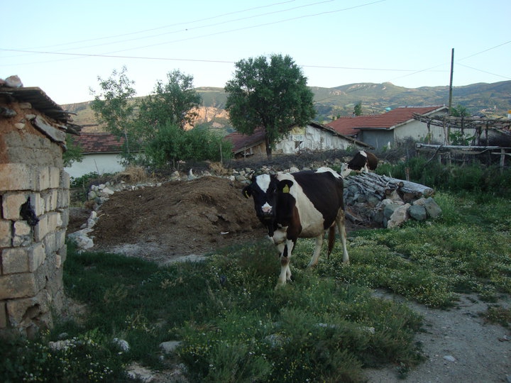 Amasya Göynücek Asar Köyü Resimleri 12