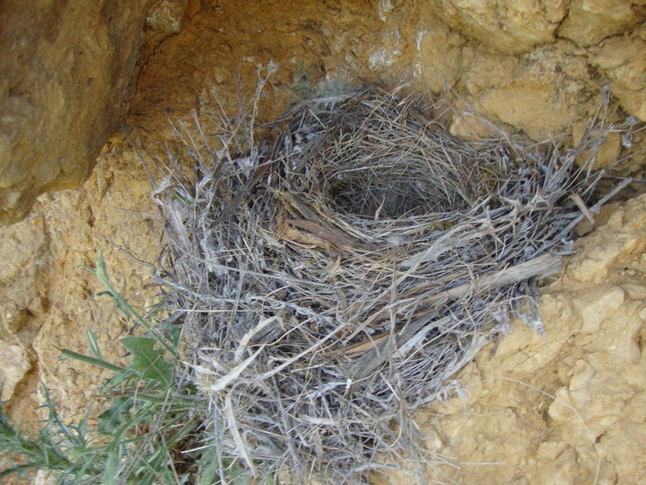 Amasya Göynücek Asar Köyü Resimleri 20