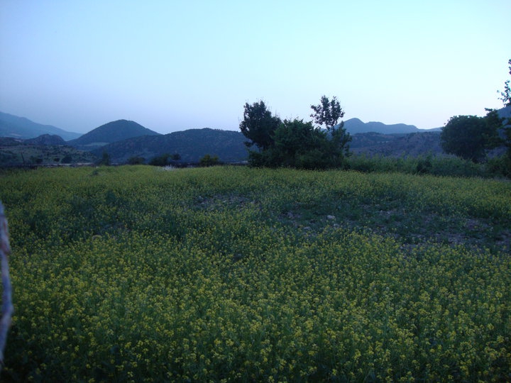 Amasya Göynücek Asar Köyü Resimleri 4