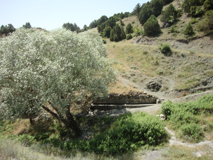 Amasya Göynücek Asar Köyü Resimleri 9