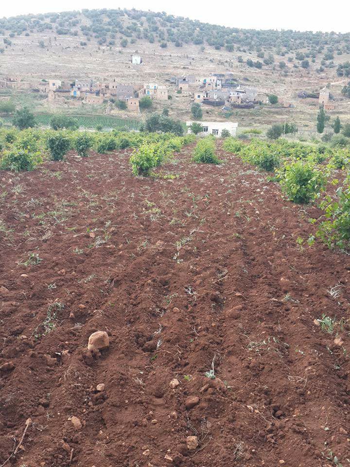 Ömerli Çatalyurt Köyü Resimleri 3