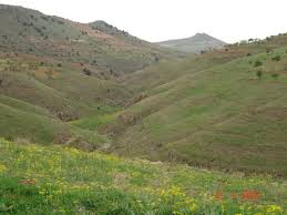 Ömerli Çayıralanı Köyü Resimleri 2