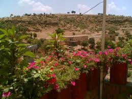 Ömerli Kocasırt Köyü Resimleri 4