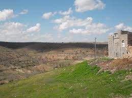 Ömerli Kocasırt Köyü Resimleri 5