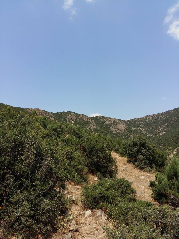 Amasya Göynücek Sığırçayı Köyü Resimleri 8