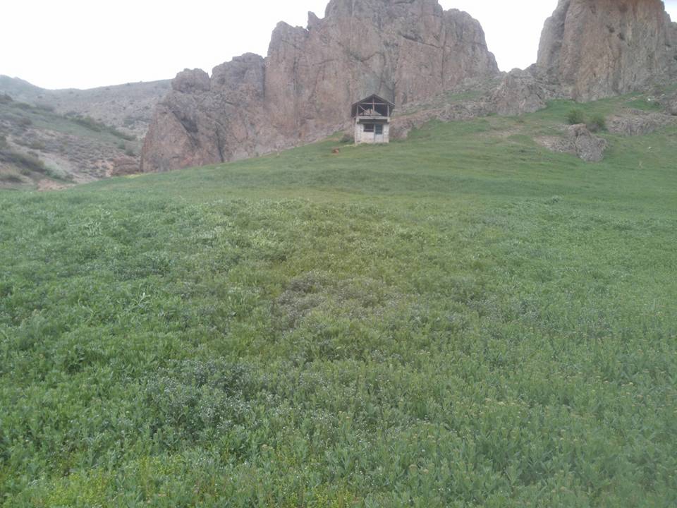 Oltu Kaleboğazı Köyü Resimleri 7