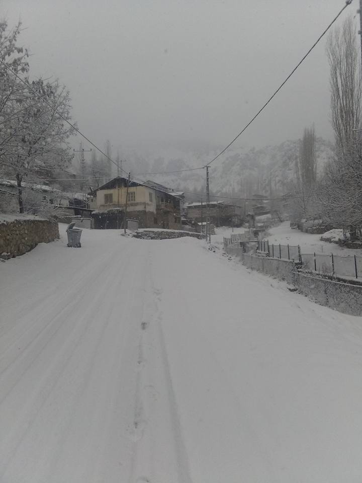 Oltu Kaleboğazı Köyü Resimleri 9