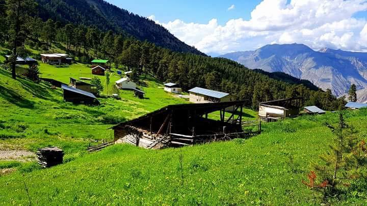 Oltu Kayaaltı Köyü Resimleri 2