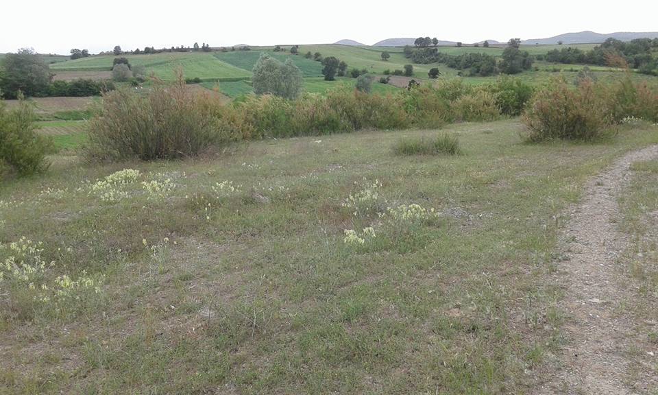 Amasya Göynücek Şeyhler Köyü Resimleri 7