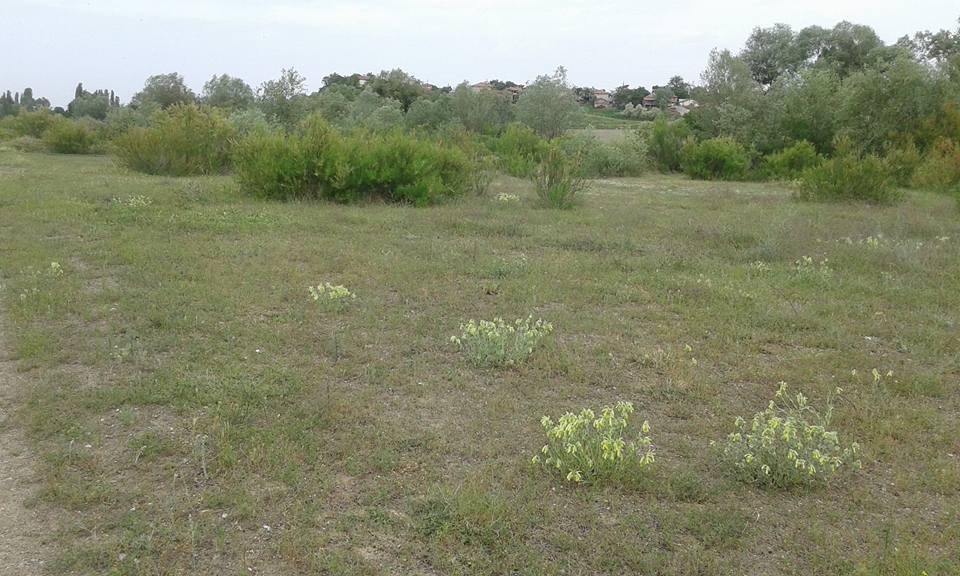 Amasya Göynücek Şeyhler Köyü Resimleri 9