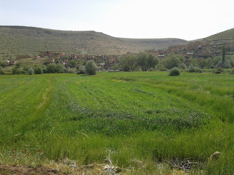 Savur Bağyaka Köyü Resimleri 1