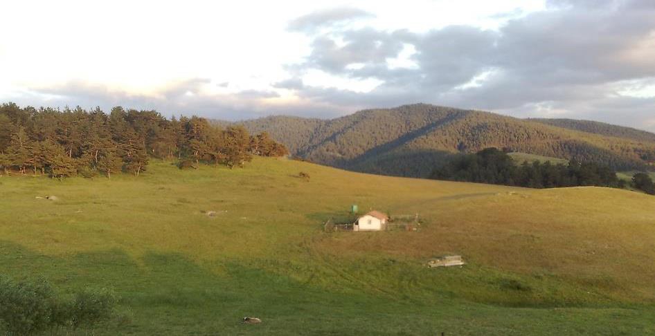 Amasya Gümüşhacıköy Alören Köyü 10