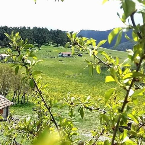 Amasya Gümüşhacıköy Alören Köyü 13