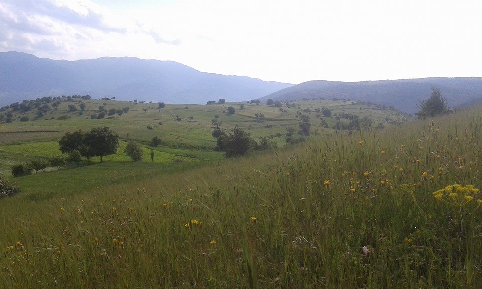Amasya Gümüşhacıköy Alören Köyü 21