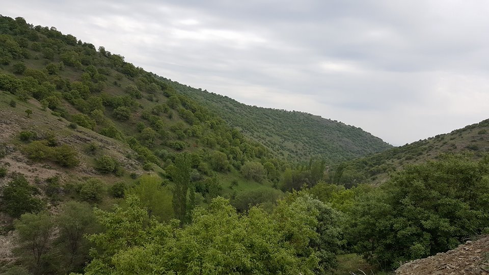 Amasya Gümüşhacıköy Alören Köyü 22