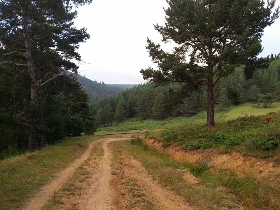 Amasya Gümüşhacıköy Alören Köyü 28