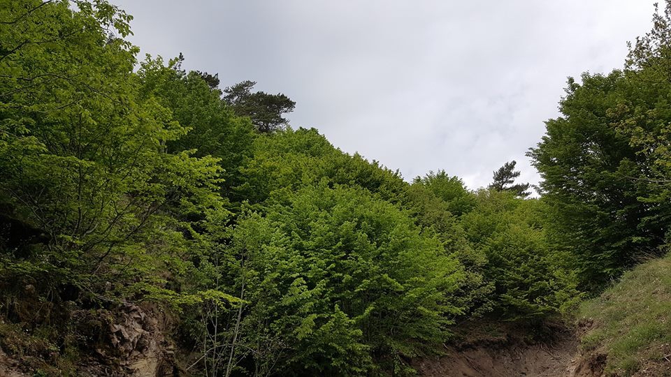 Amasya Gümüşhacıköy Alören Köyü 31