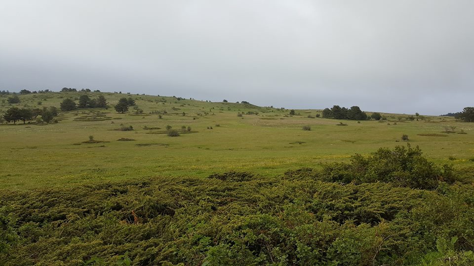 Amasya Gümüşhacıköy Alören Köyü 32