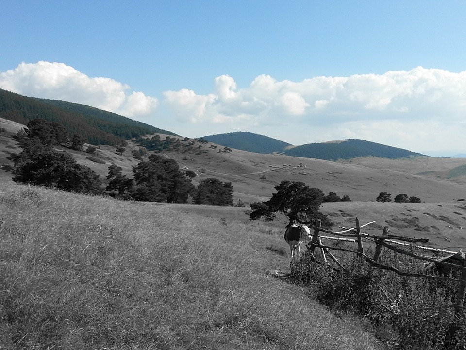 Amasya Gümüşhacıköy Alören Köyü 34