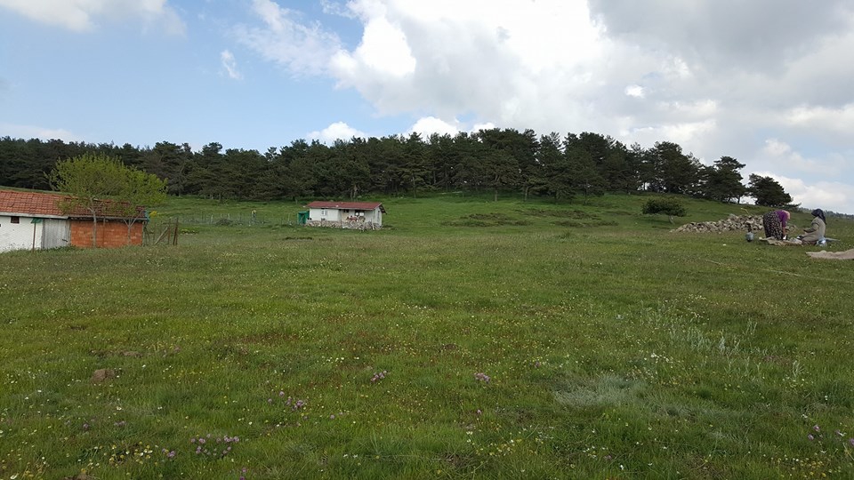 Amasya Gümüşhacıköy Alören Köyü 35