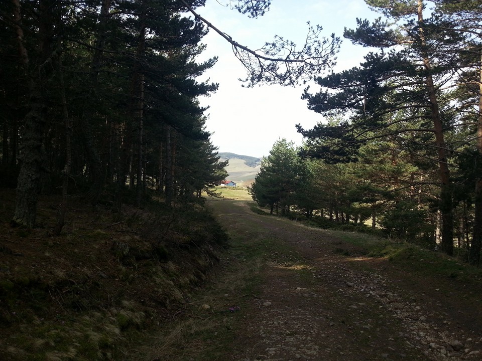 Amasya Gümüşhacıköy Alören Köyü 39
