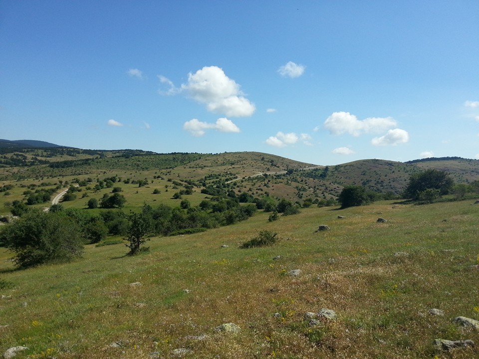 Amasya Gümüşhacıköy Alören Köyü 7