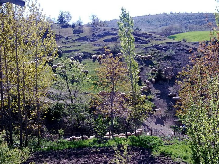 Amasya Gümüşhacıköy Aşağıovacık Köyü Resimleri 9