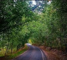 Savur Pınardere Köyü Resimleri 1