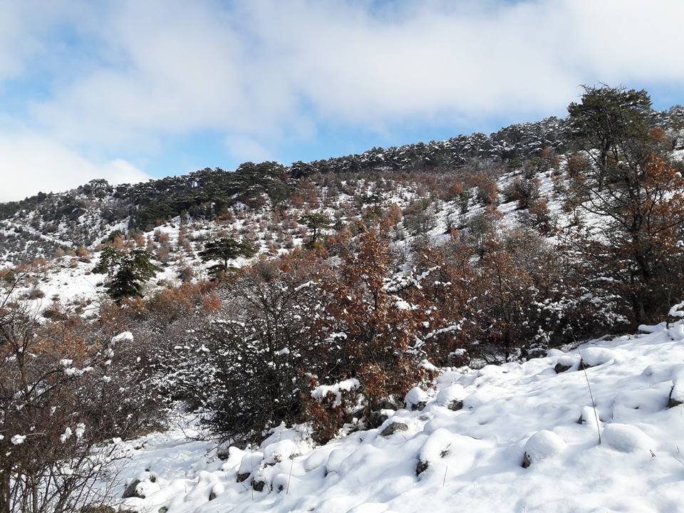 Amasya Gümüşhacıköy Derbentobruğu Köyü Resimleri 12