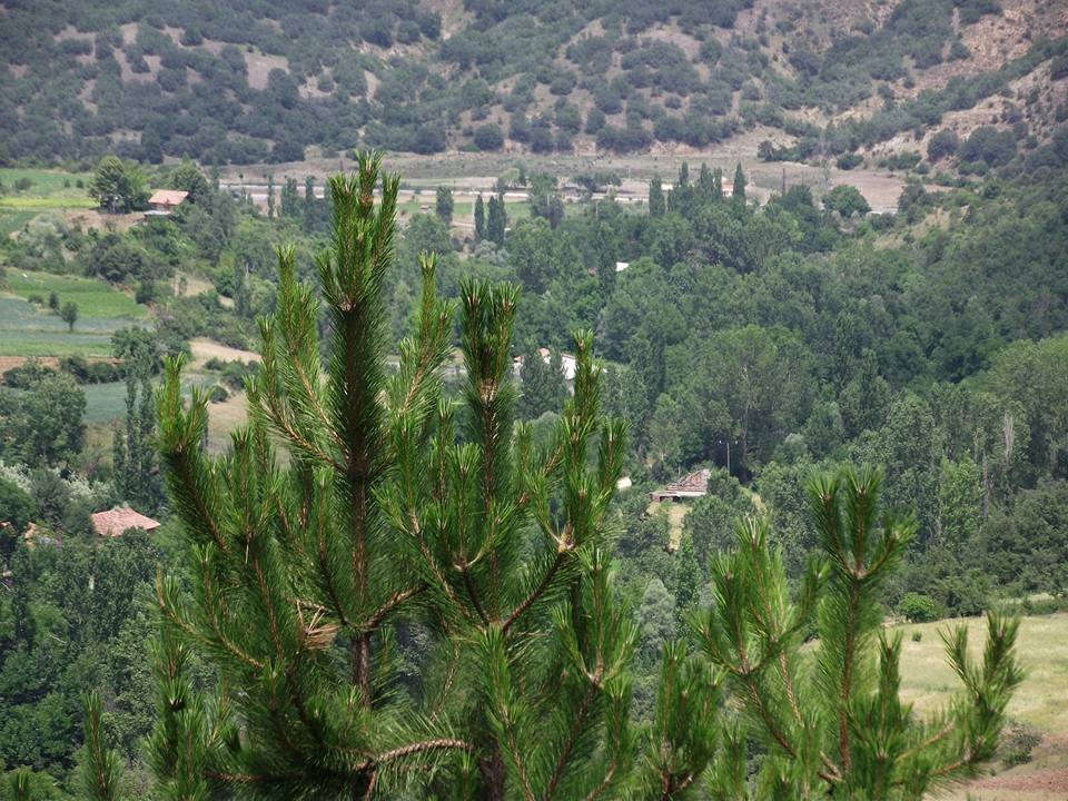 Amasya Gümüşhacıköy Sekü Köyü Resimleri 27